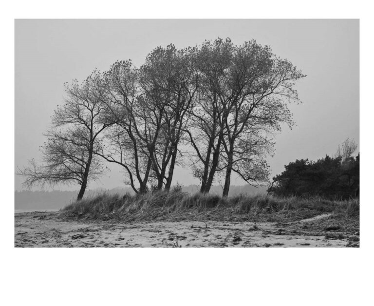 dieFotositzung | Sascha J Bachmann | Rügen