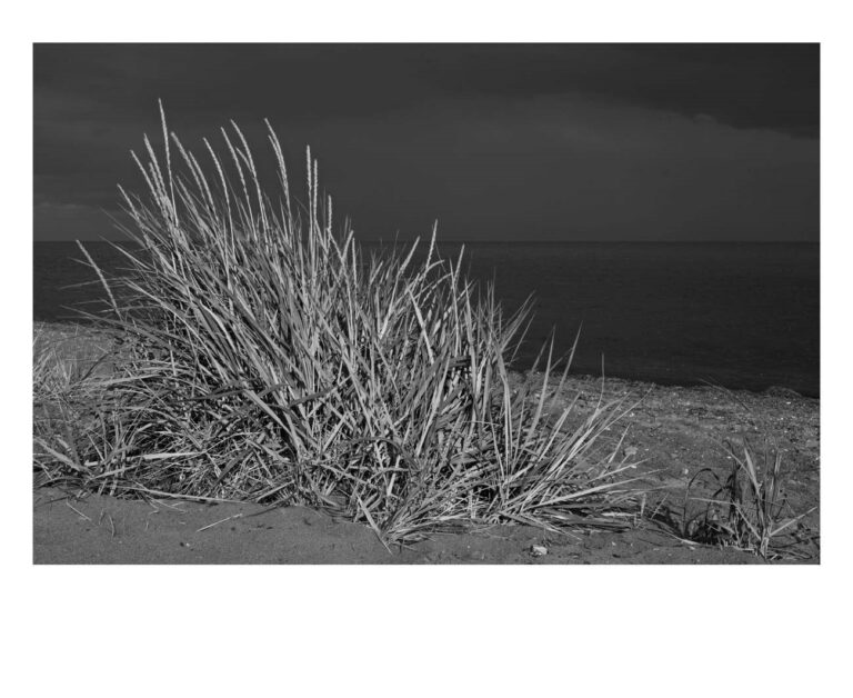 dieFotositzung | Sascha J Bachmann | Rügen