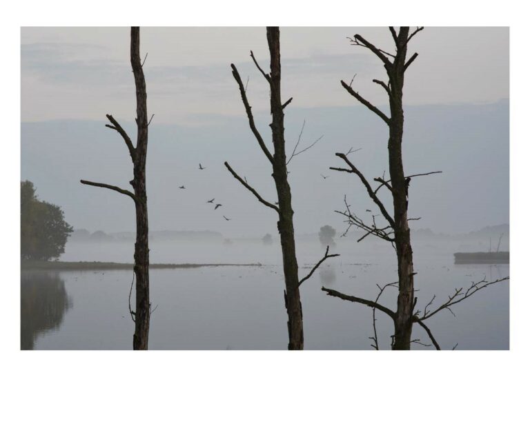 dieFotositzung | Sascha J Bachmann | Rügen