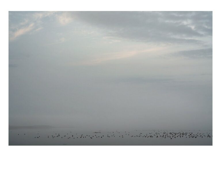 dieFotositzung | Sascha J Bachmann | Rügen