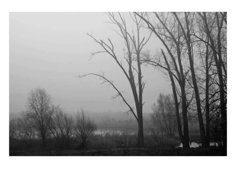 dieFotositzung | Sascha J Bachmann_5727